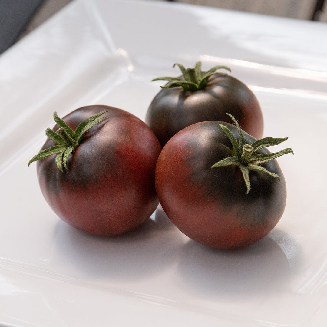 Organic Tomato Seeds — 'Cherokee Purple'