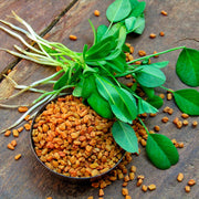 Organic Fenugreek Seeds