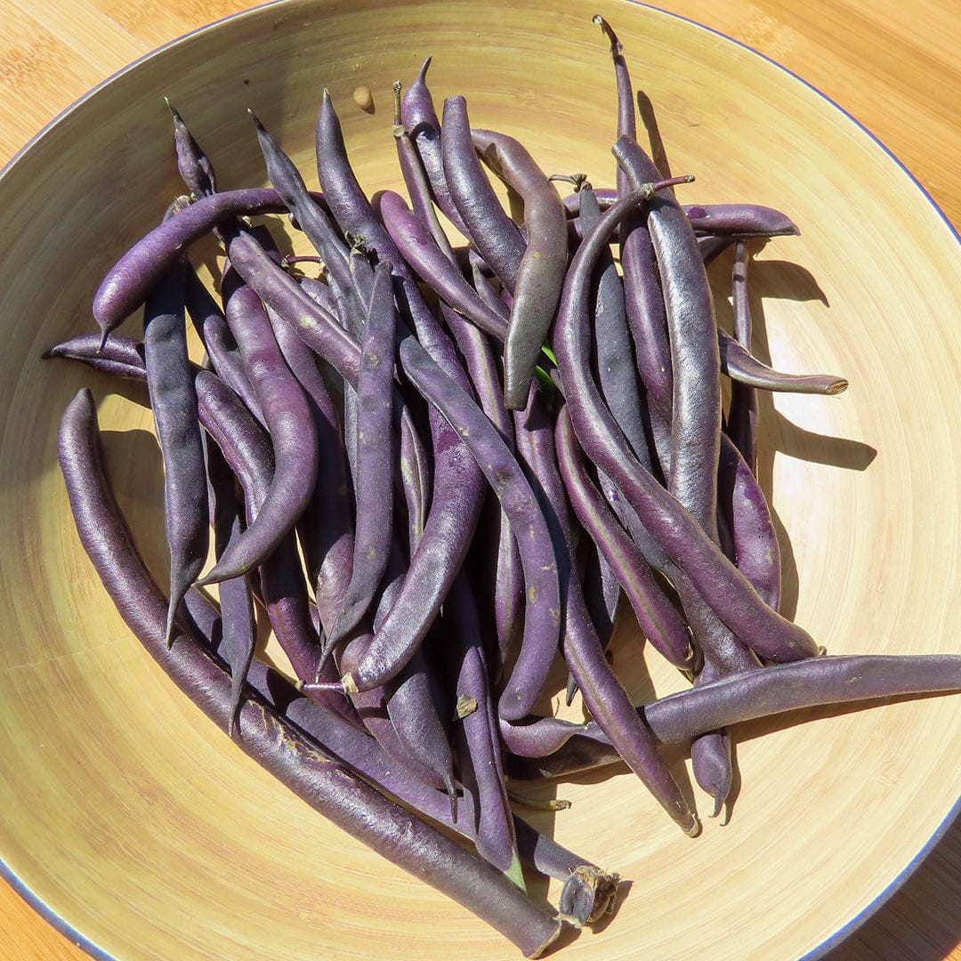 Cluster of slender, deep purple bean pods with smooth skin in a light wooden bowl. - Organic Bean Seeds — 'Royalty Purple Pod' - Default Title - Back to the Roots