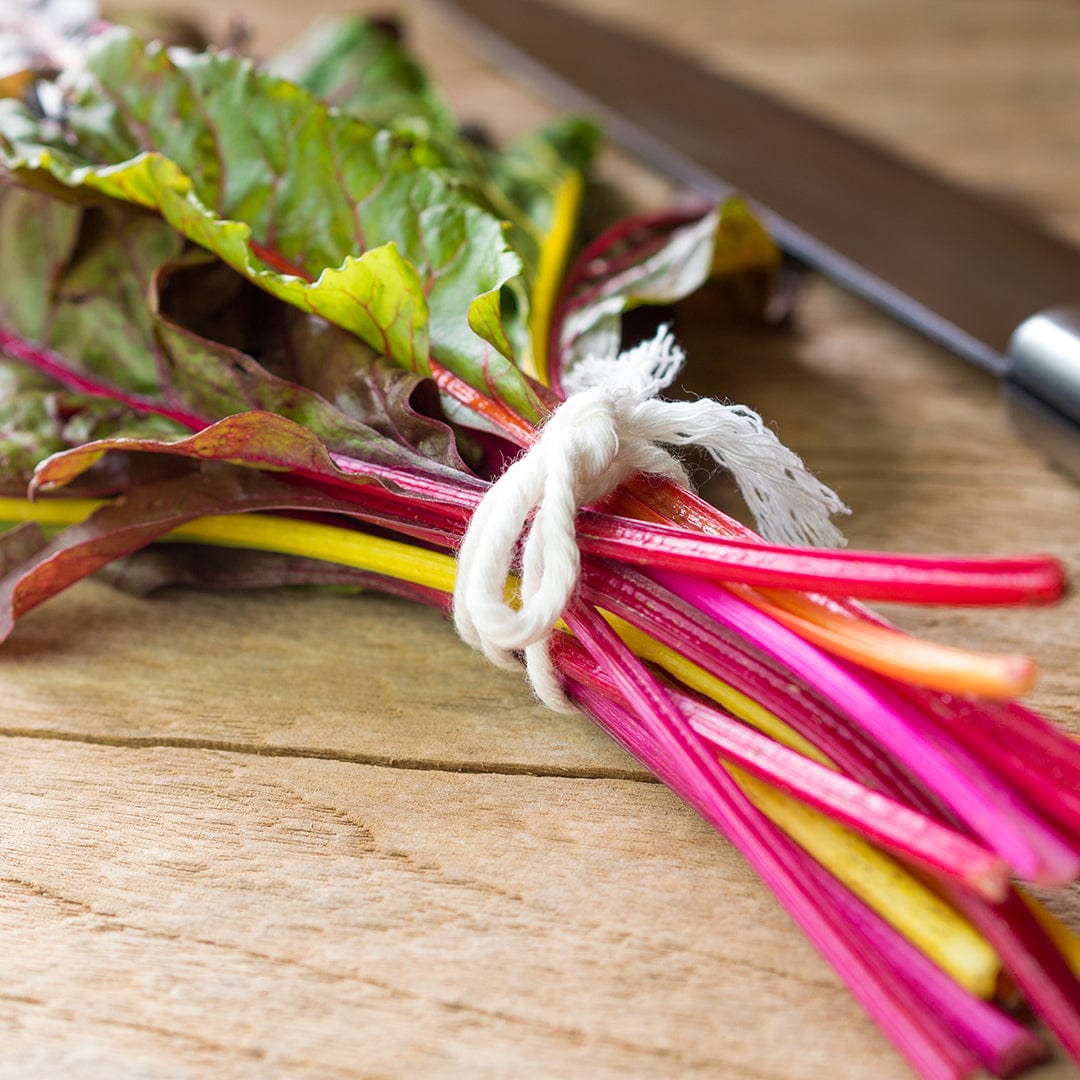 Organic Swiss Chard Seeds — 'Rainbow Mix'