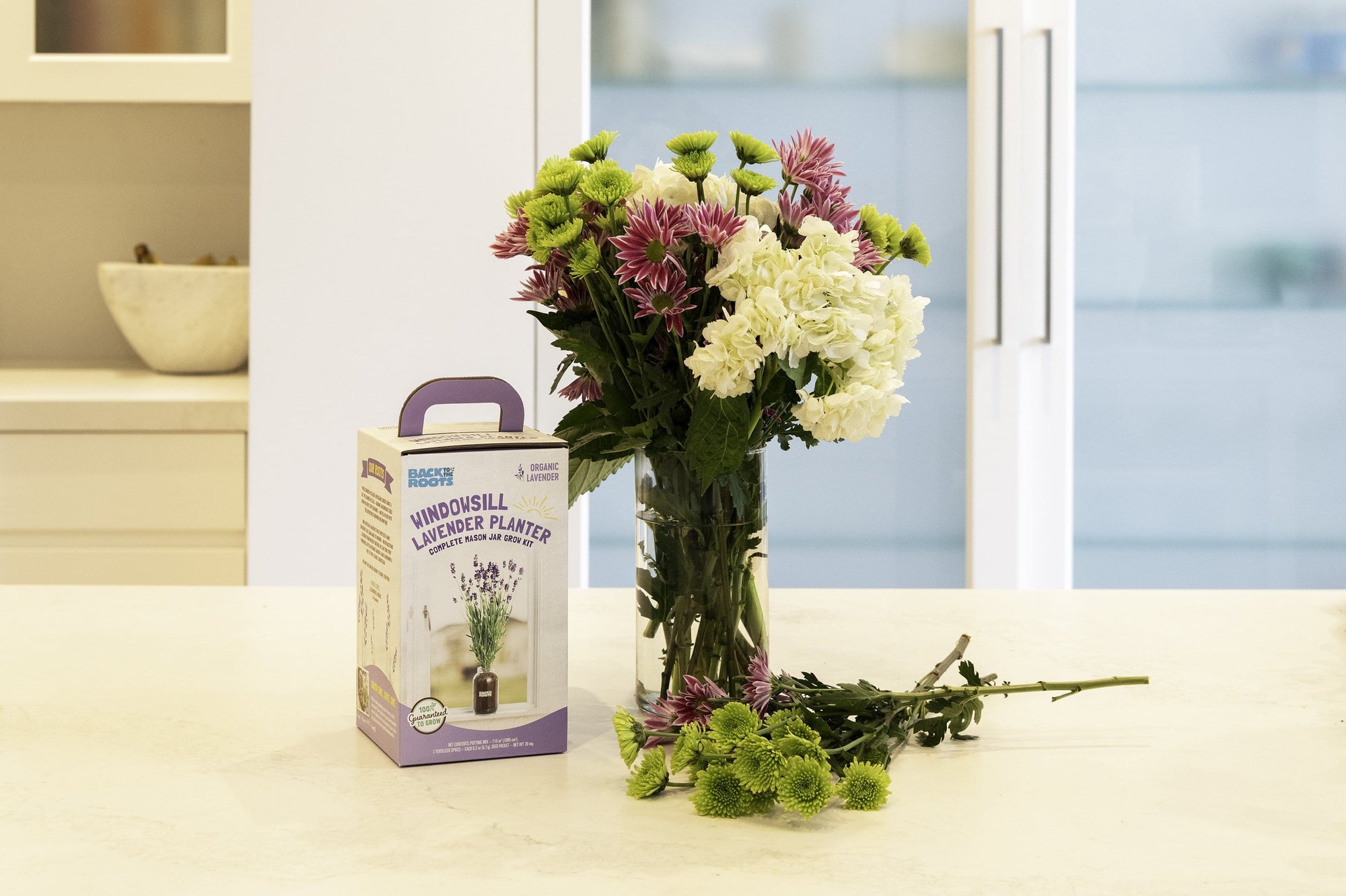 indoor lavender plant kit Buy 1 More Organic Lavender Windowsill Planter – Back to the Roots