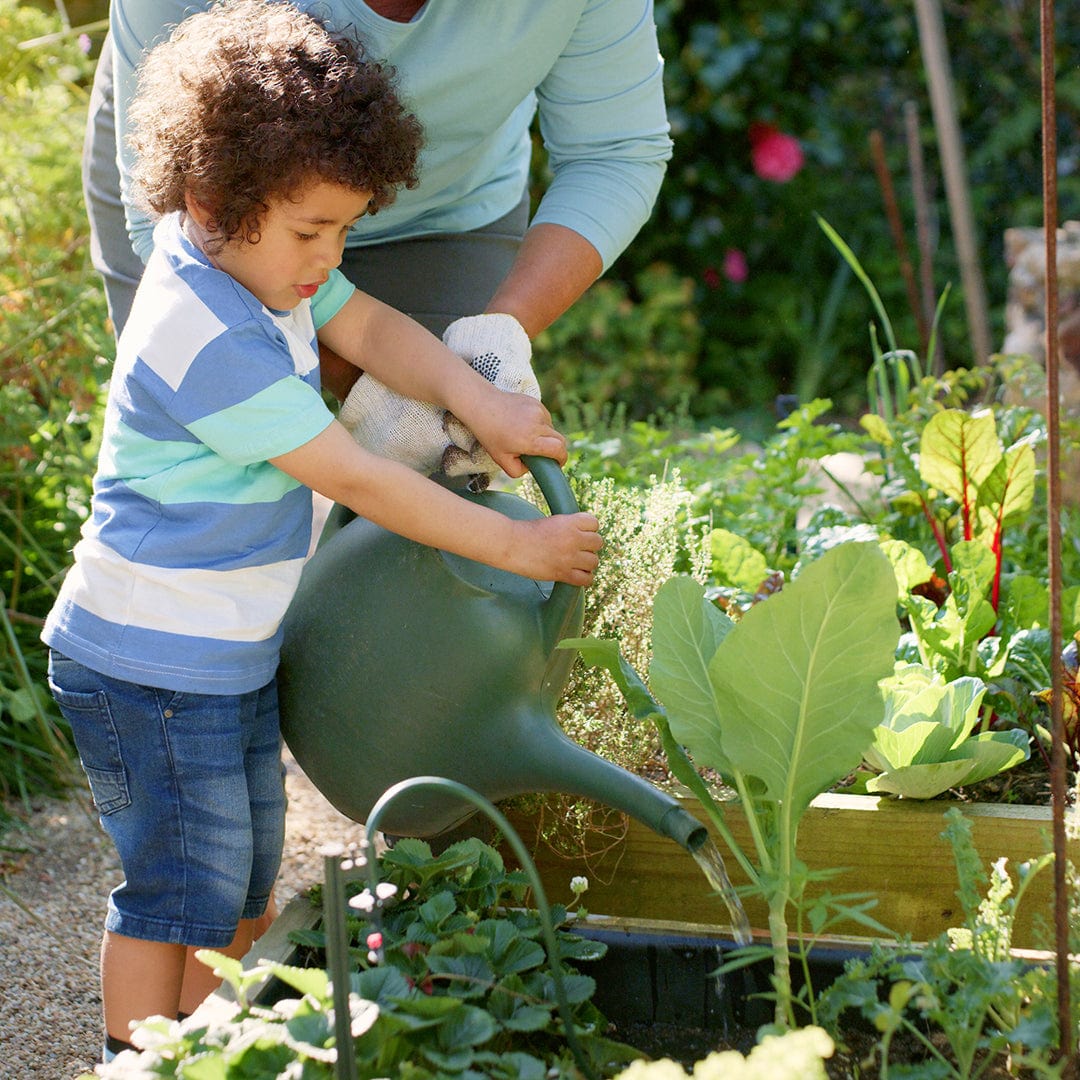 Natural & Organic ALL-PURPOSE Plant Food