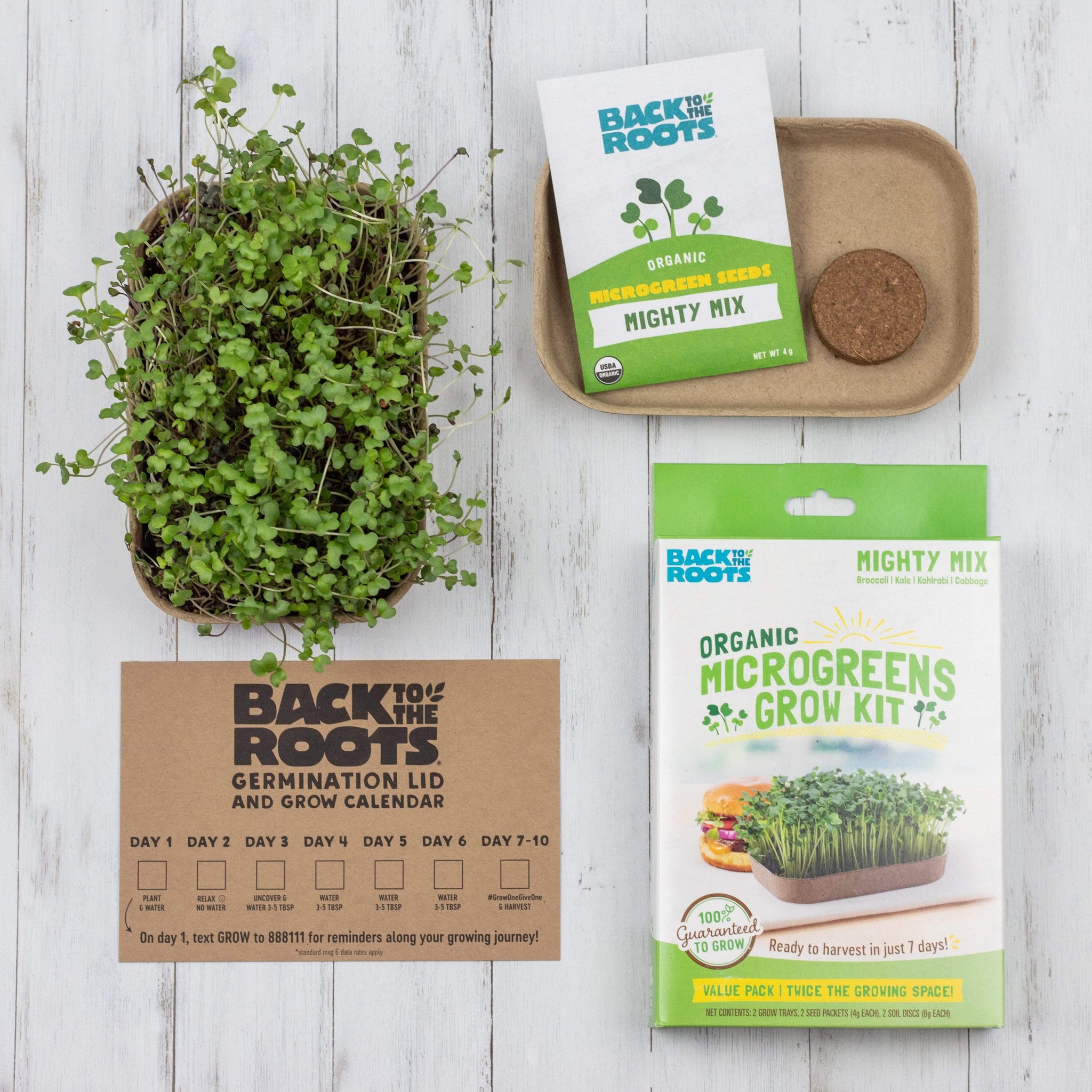 Organic Microgreens Kit, Variety 3-Pack 🌱