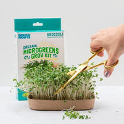 Microgreen Grow Kit - Trial Pack - Micro Broccoli