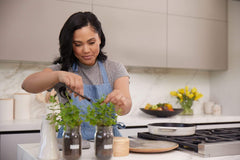 Kitchen Herb Garden by Ayesha Curry (Jar 2 Pack) - Organic Basil & Mint - Back to the Roots