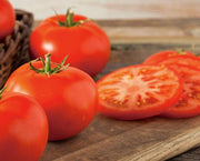 Organic Heirloom Tomato Variety Pack - Seed Packet Bundle