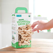 Organic Mushroom Grow Kit Gifting Bundle 	🎁, Value 3-Pack