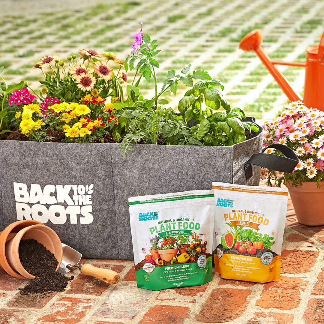 natural outdoor plant fertilizer Natural & Organic EDIBLES Plant Food