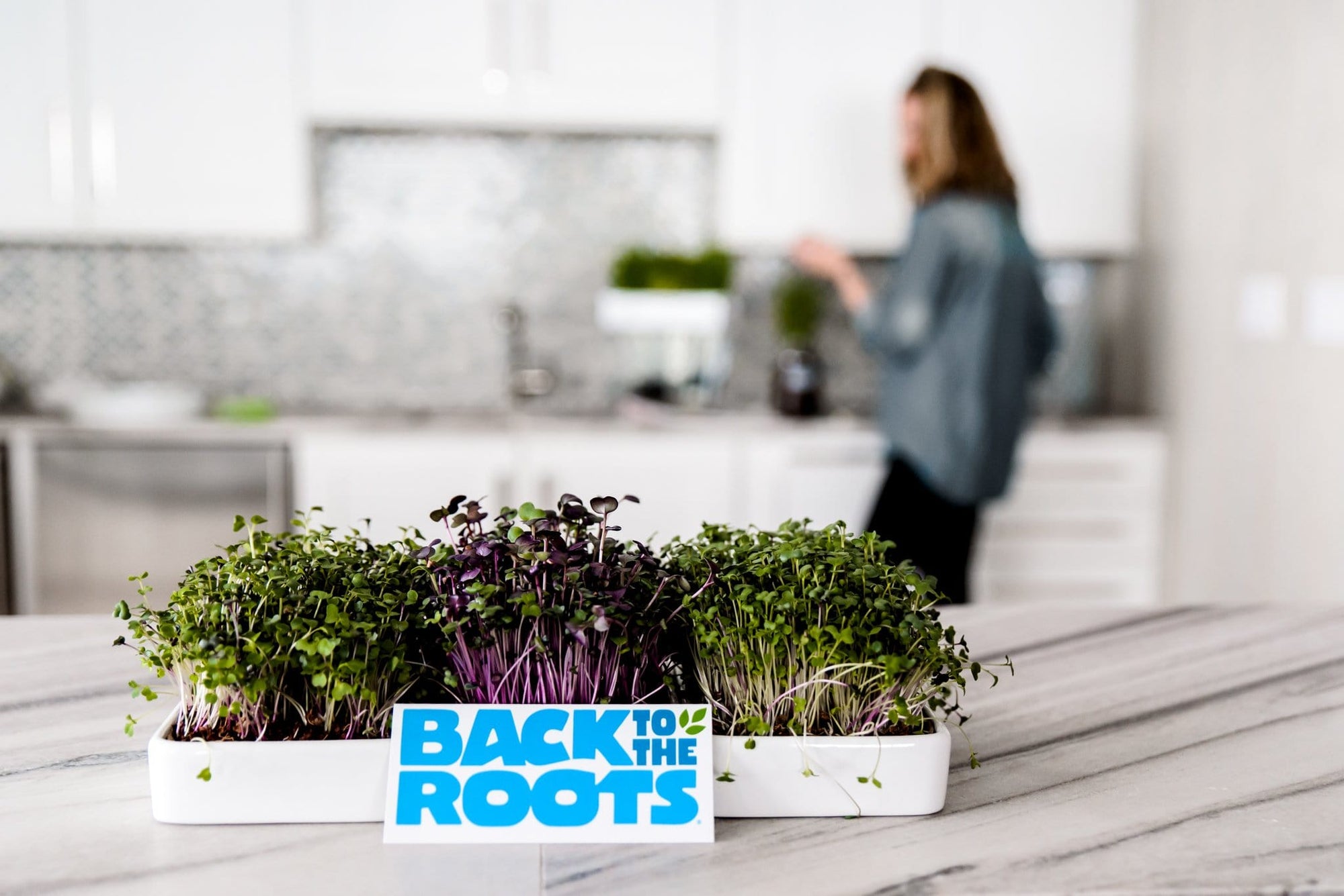 Ceramic Microgreens Planter, 3-Pack