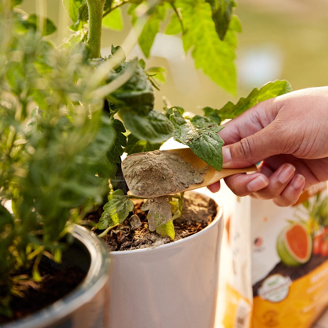 plant food for pot plants Natural & Organic EDIBLES Plant Food