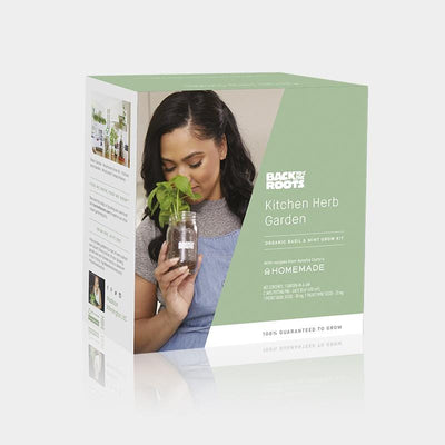 Kitchen Mason Jar Herb Garden by Ayesha Curry - Organic Basil & Mint 🌿