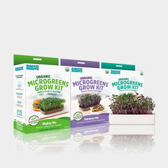 Microgreens Grow Kit (3-Pack) with Ceramic Planter – Back to the Roots