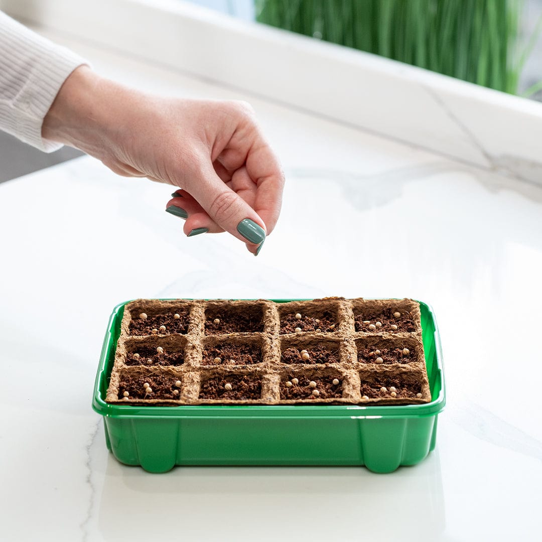 plastic containers for planting seeds Greenhouse Germination Refill Kit