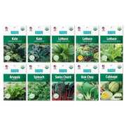 Organic Super Greens 10-Pack