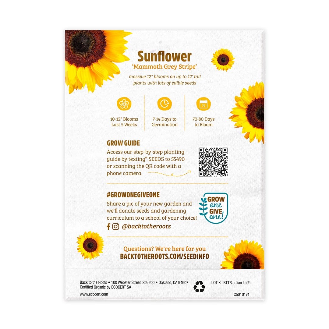 direction to plant sunflower seeds Organic Sunflower Seeds Value-Pack (20 Packets)