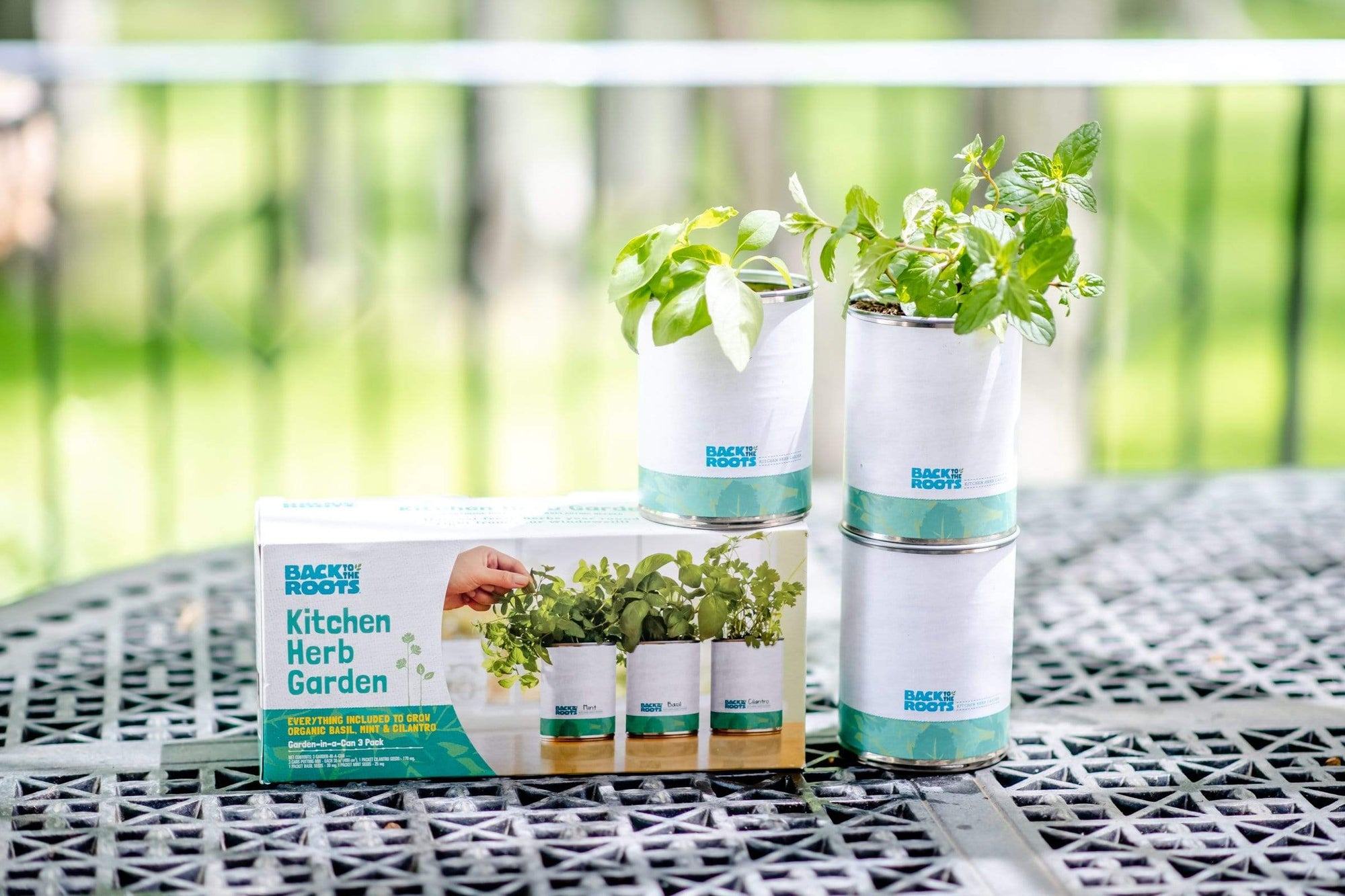 herb plant pots kitchen Back to the Roots 22286 Kitchen Herb Garden Grow Kit