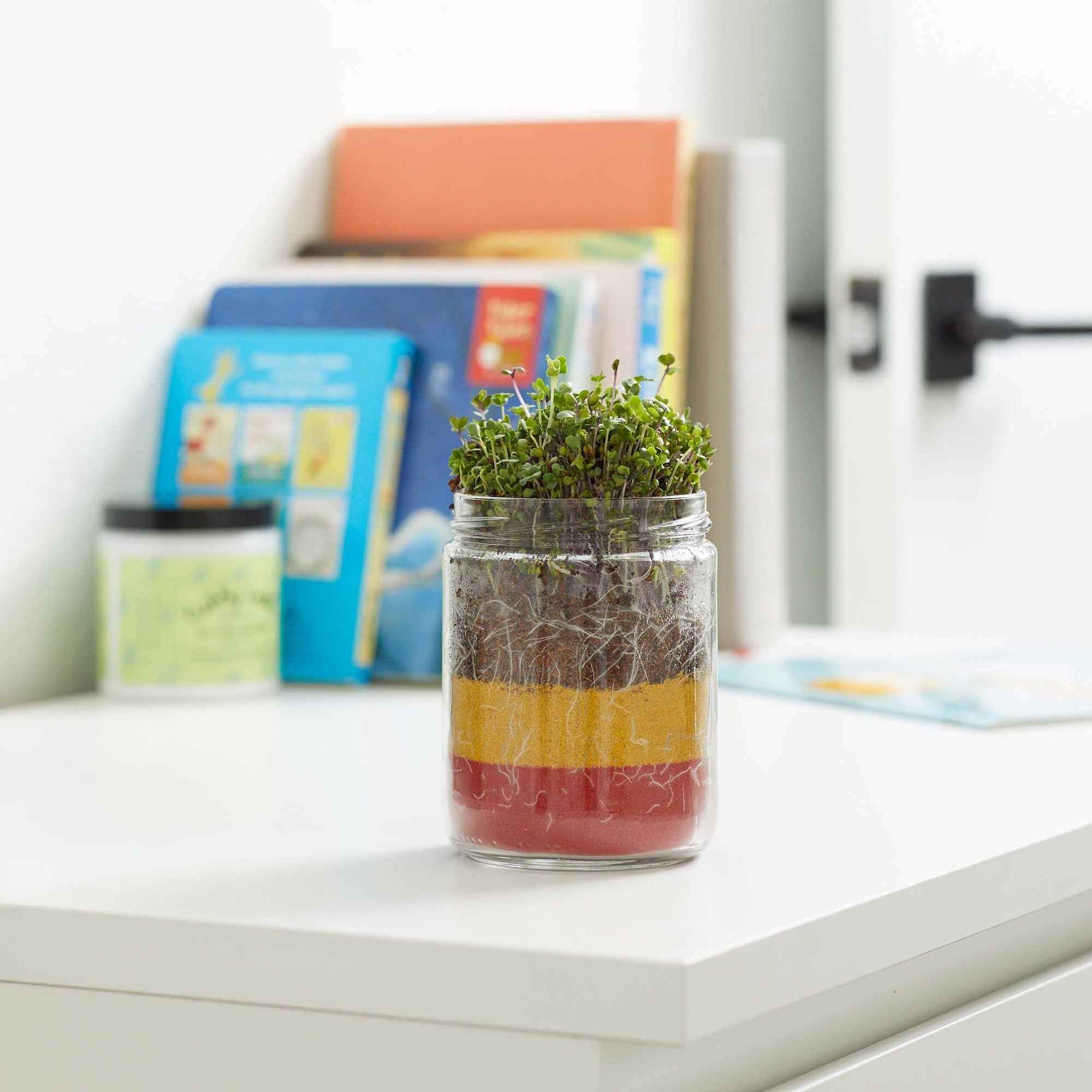 Terrarium Kids Grow Kit - Seeds & Soil Refill Pack