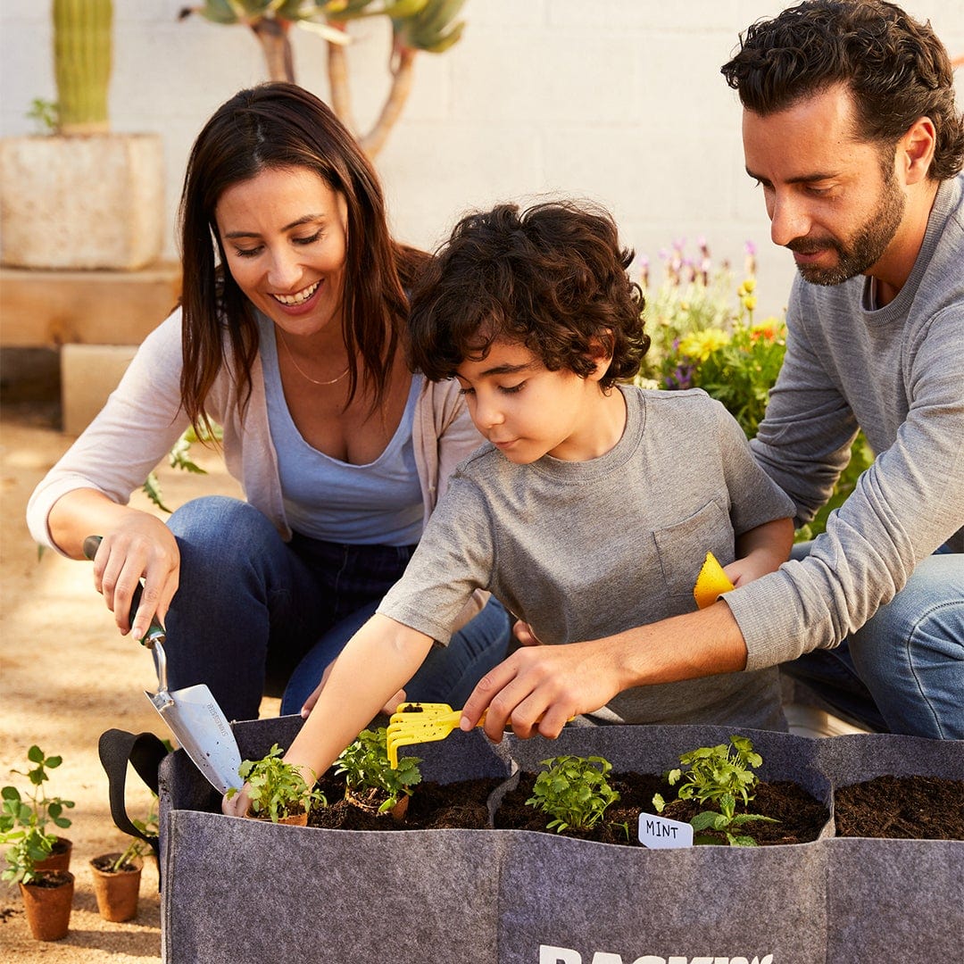 garden seed pots Back to the Roots - Plantable Seed Starting Pots - Includes 24 Pots