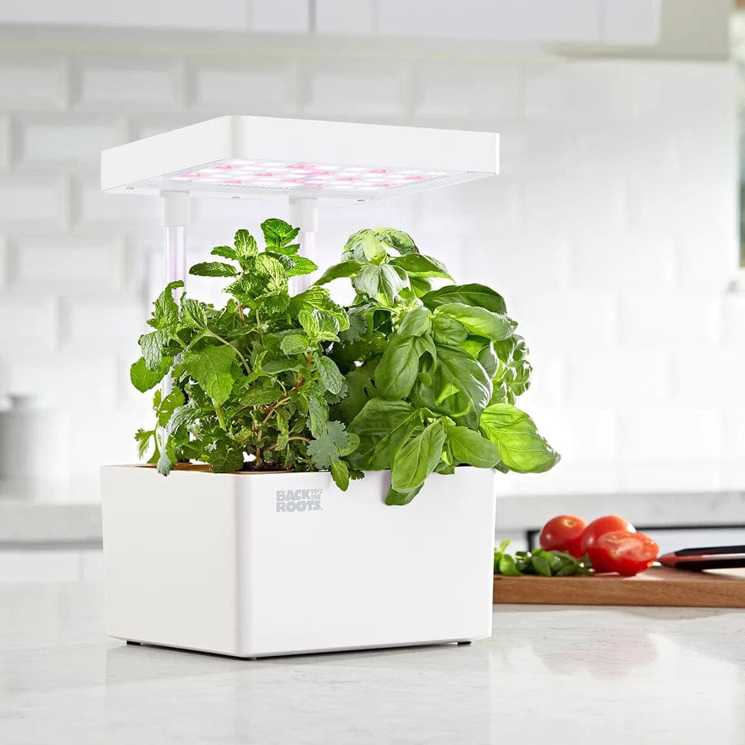 where to buy hydroponic plants near me Back to the Roots
