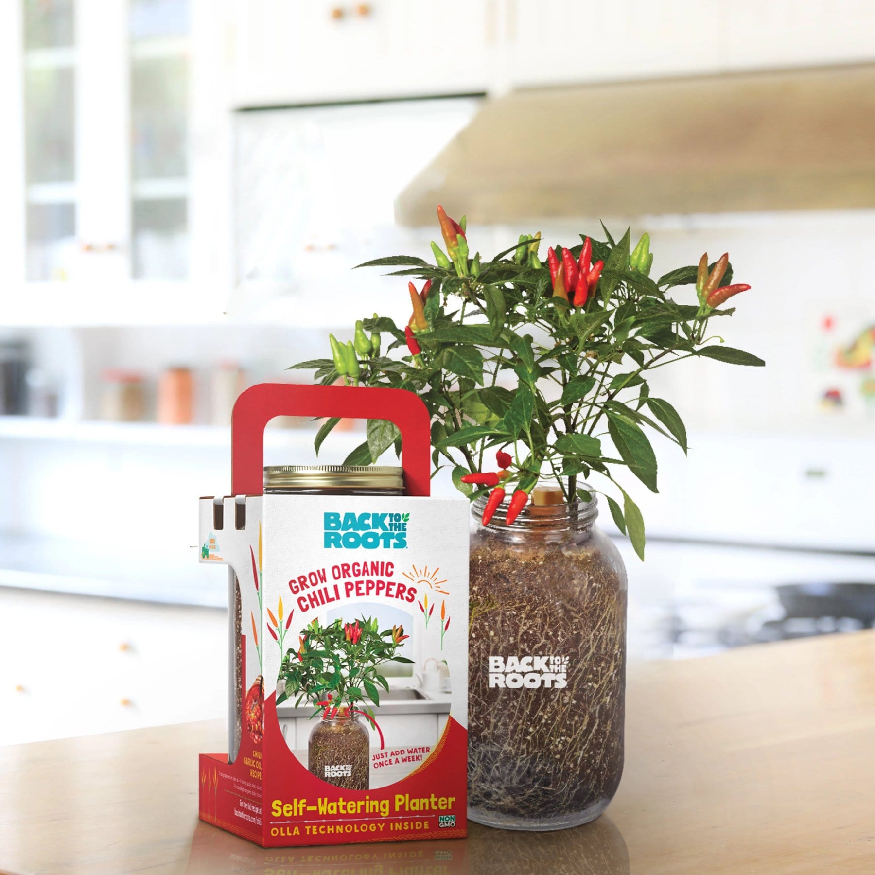 The Indoor Gardening Essentials - Herb, Veggies and Mushrooms 6-Plant ...