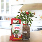 Summer Gardening Collection: 12 Kit Bundle (Herbs, Veggies, Mushrooms,  & Microgreens)