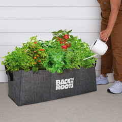 Organic Raised Bed Gardening Kit
