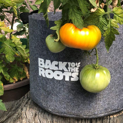 Self-Watering Fabric Garden Pot – Back to the Roots