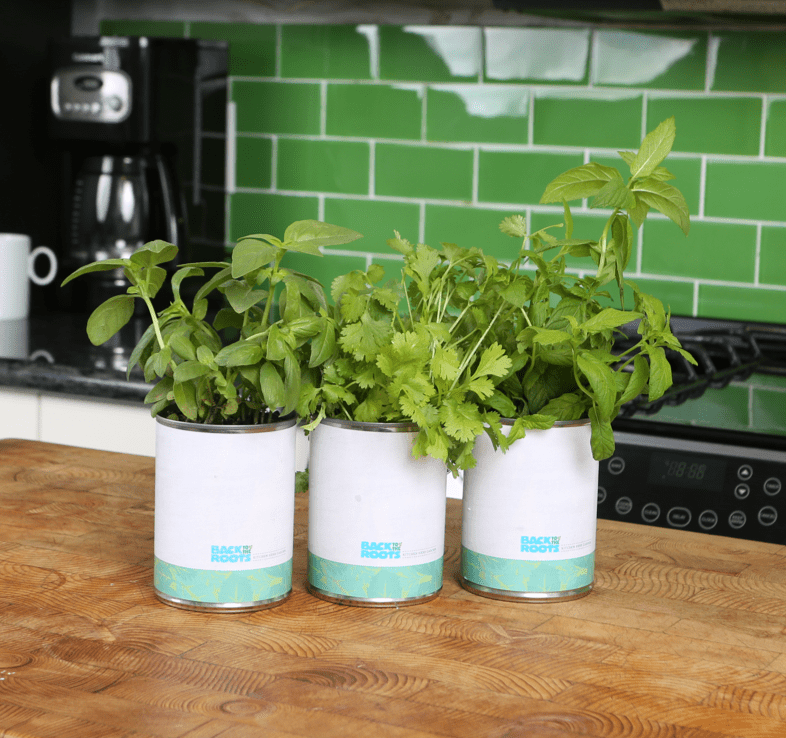 indoor windowsill herb planter Back to the Roots 22286 Kitchen Herb Garden Grow Kit