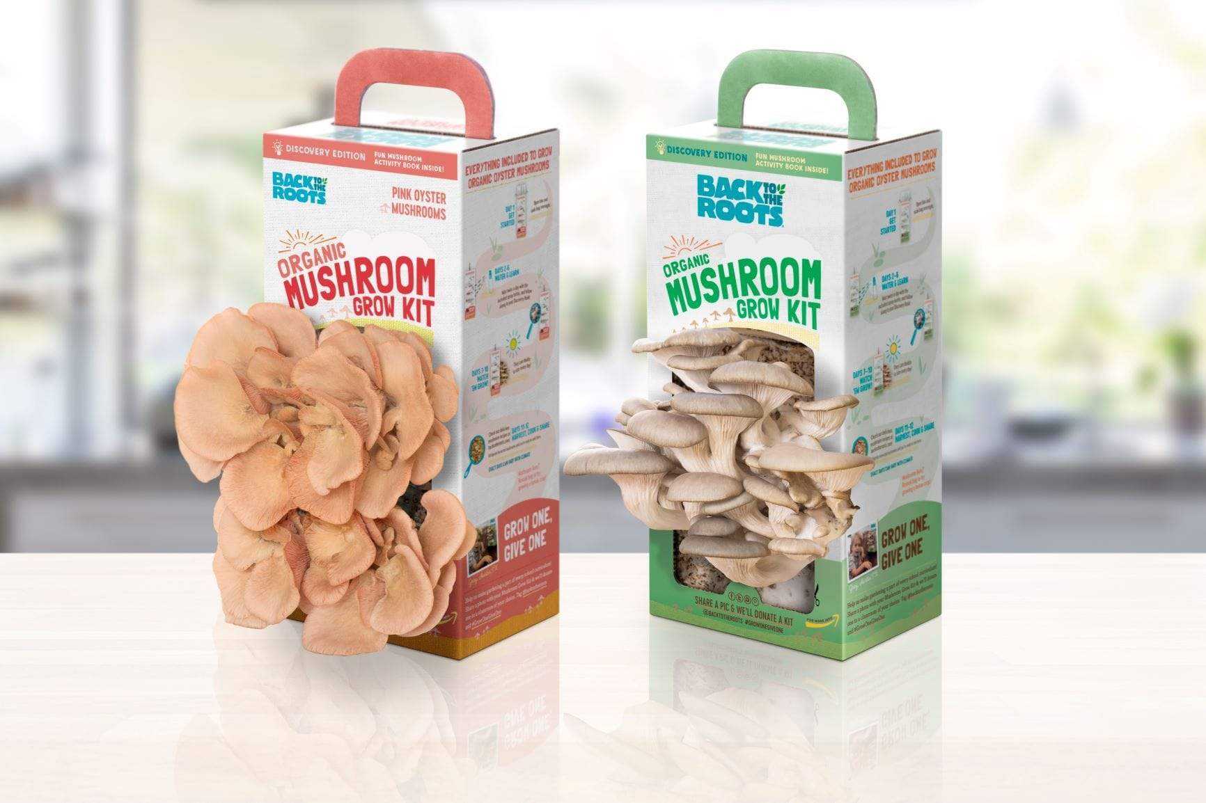 MUSHROOM GROW KIT (2 PACK) - *New* VARIETY EDITION (Pink + Pearl Oyster Mushrooms) - Back to the Roots