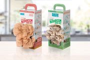 MUSHROOM GROW KIT (2 PACK) - *New* VARIETY EDITION (Pink + Pearl Oyster Mushrooms) - Back to the Roots