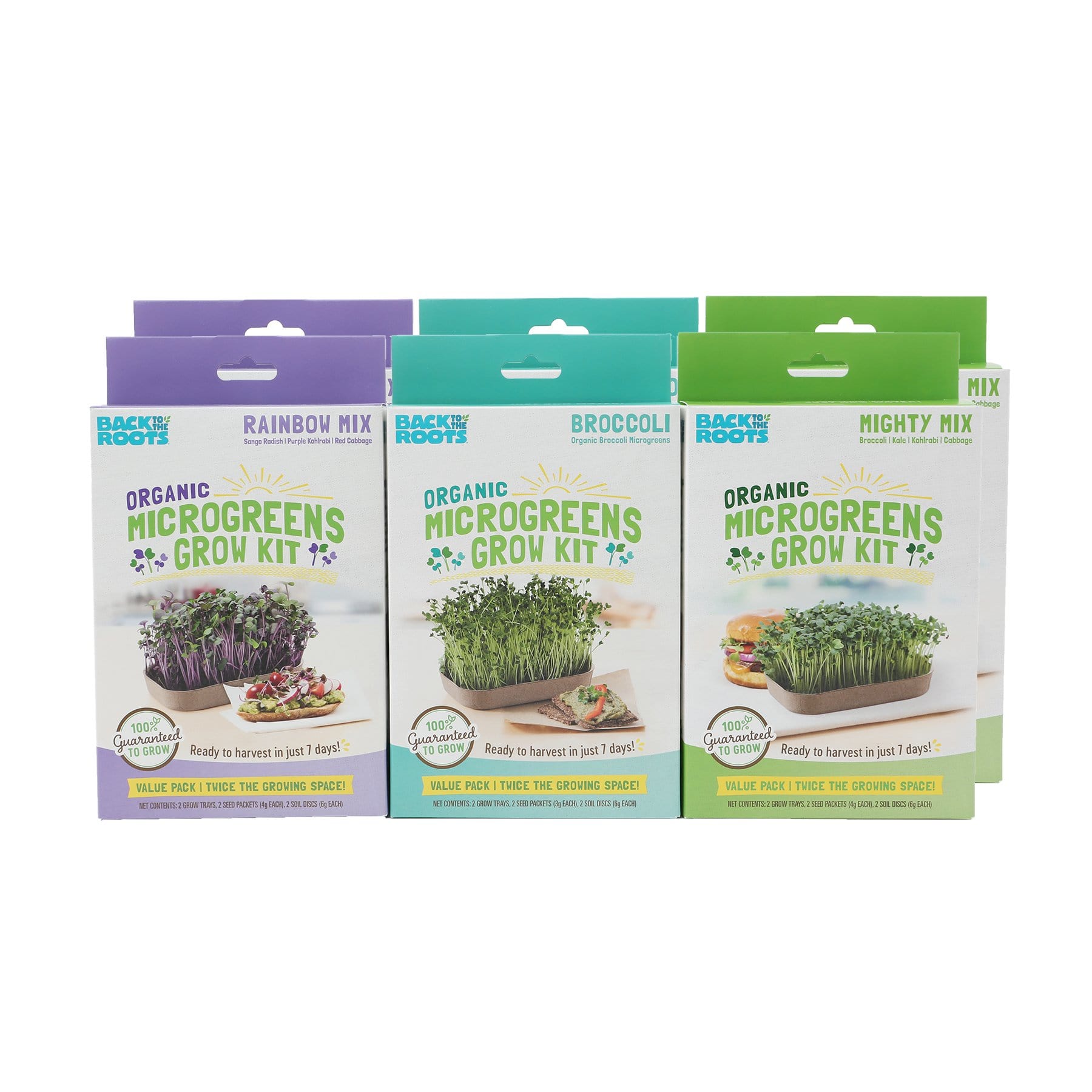 Organic Microgreens Kit, Bulk Saver 6-Pack 🌱