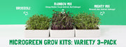 Organic Microgreens Kit, Bulk Saver 6-Pack 🌱