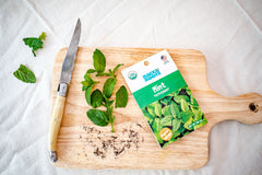 Organic Herb Garden Variety Pack - Seed Packet Bundle