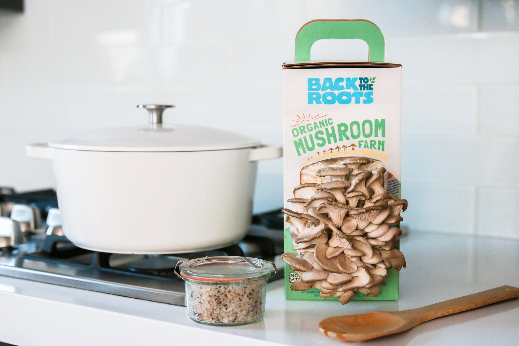 The Indoor Gardening Essentials Herb, Veggies and Mushrooms 6Plant