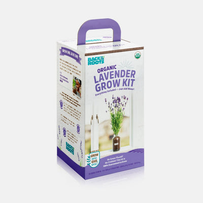 Organic Lavender Windowsill Planter 💜