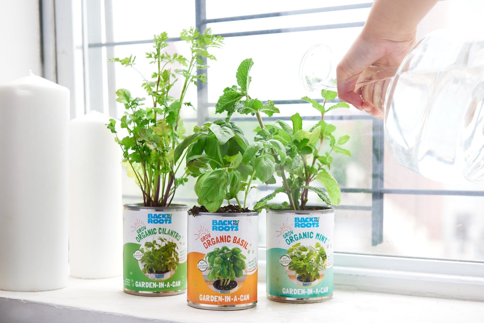 The Urban Homesteader Gift Set – Full Indoor Garden + Aquaponics Kit