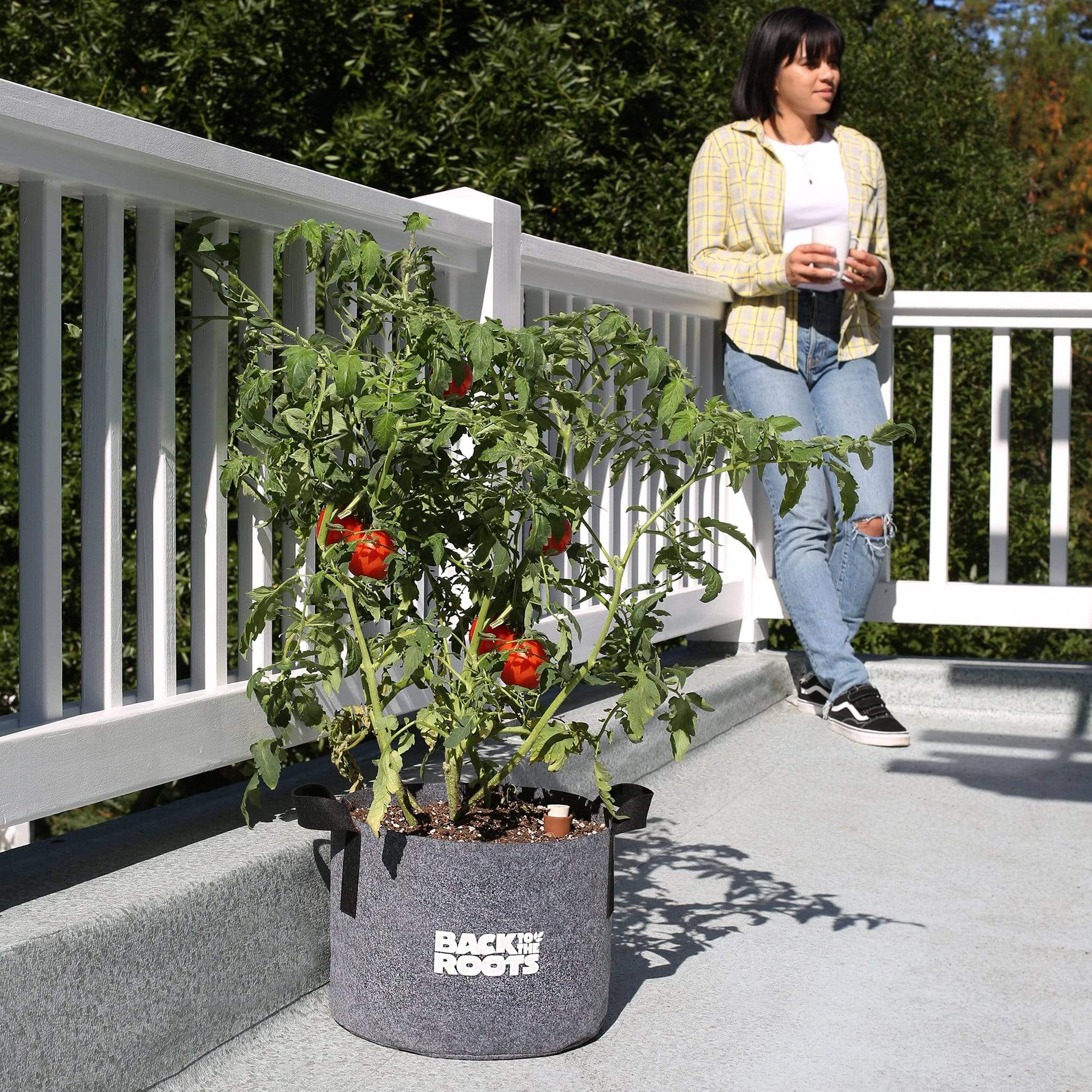 self watering plant pots for tomatoes Back to the Roots Self-Watering Fabric Garden Pot
