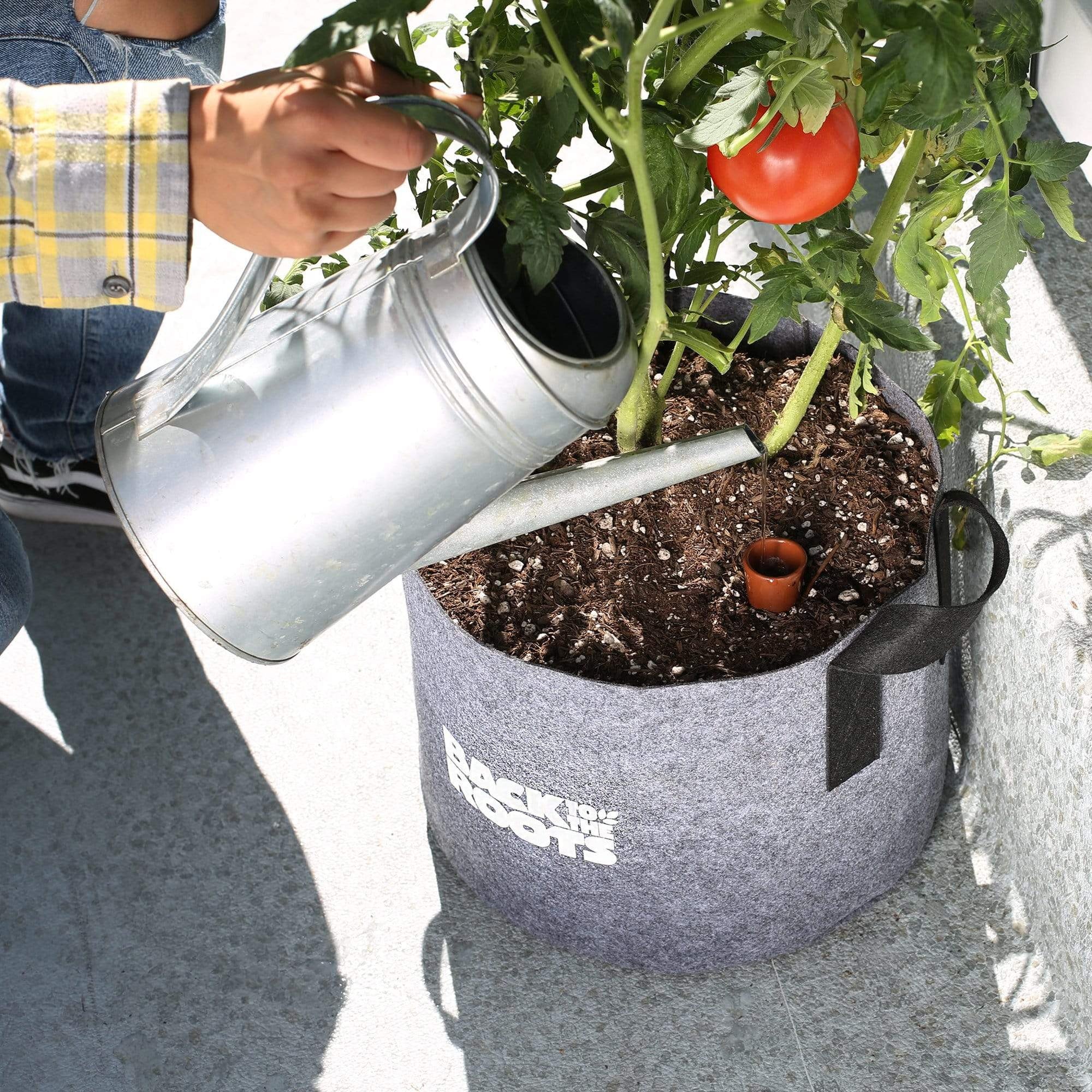 back to the roots self watering planter Back to the Roots Self-Watering Fabric Garden Pot