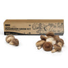 Organic shiitake mushroom grow kit with mushrooms sprouting beside a cardboard grow box. - Organic Shiitake Mushroom Kit (START GROWING RIGHT AWAY) - Default Title - Back to the Roots
