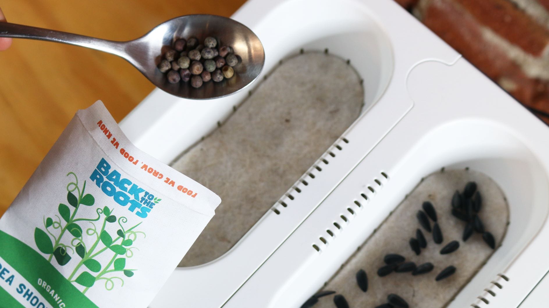 back to the roots water garden seeds Compostable Refill Kits – Back to the Roots