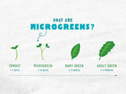Organic Microgreens Kit, Variety 3-Pack 🌱