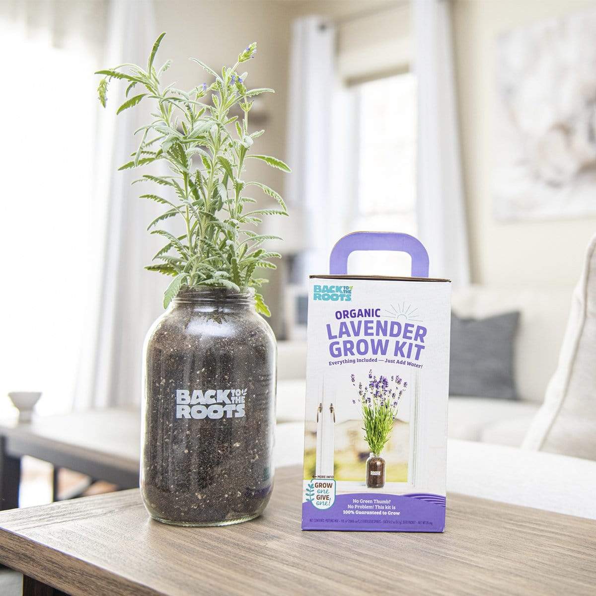 lavender seed science grow kit Lavender & Sunflower Grow Kit Flowers 2-Pack Bundle