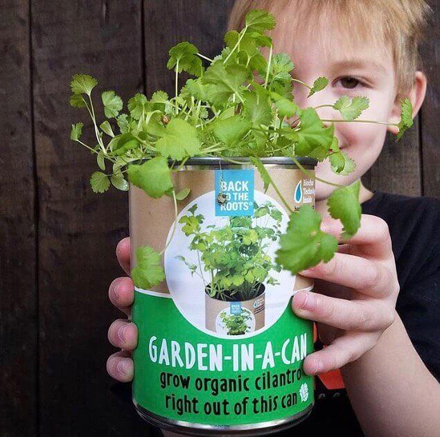cilantro plant pot Back to the Roots 22286 Kitchen Herb Garden Grow Kit