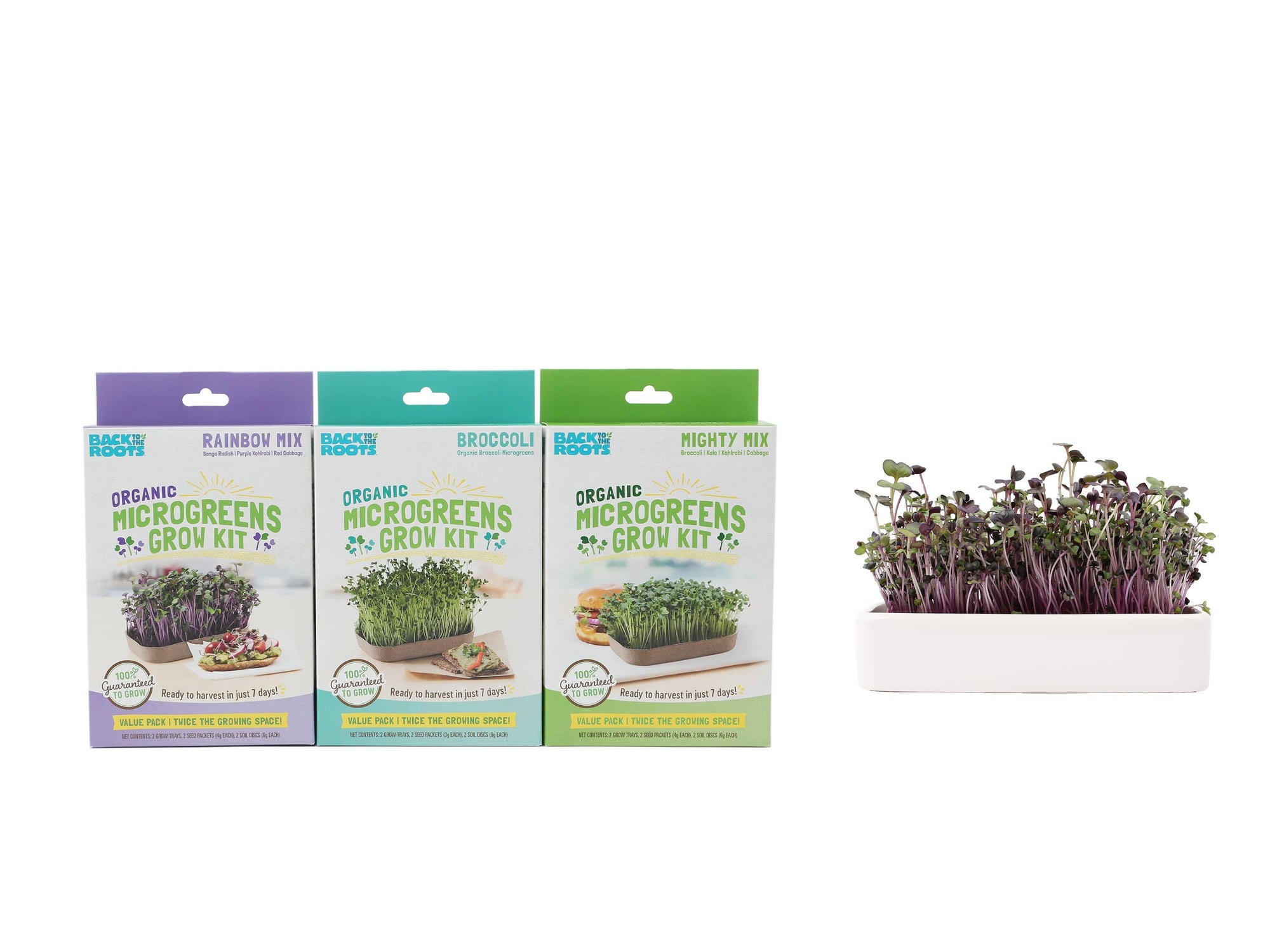 Microgreens Grow Kit (3-Pack) with Ceramic Planter