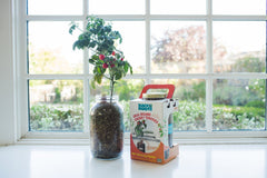 The Indoor Gardening Essentials - Herb, Veggies and Mushrooms 6-Plant Bundle (Save $20)