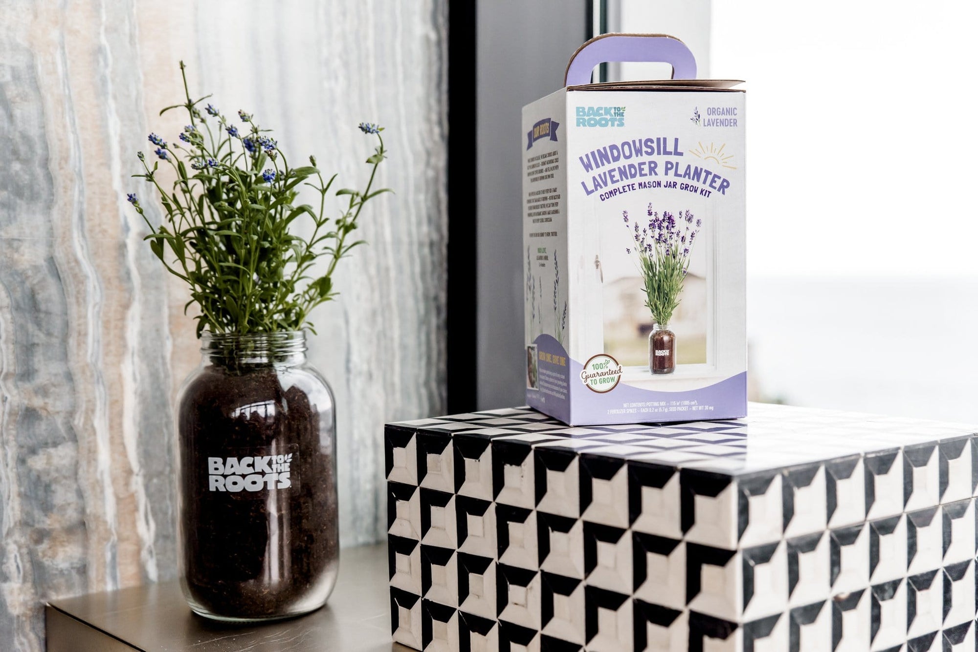 Buy 1 More Organic Lavender Windowsill Planter