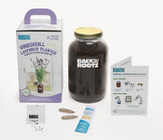 Buy 1 More Organic Lavender Windowsill Planter