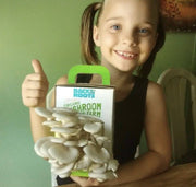 Organic Mushroom Grow Kit, Bulk 4-Pack (SAVE 20%)