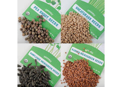 Back to The Roots - Microgreen Seed Packets - Shades of Green Bundle - Includes Sunflower, Pea Shoot, Radish, Wheatgrass Seeds
