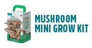 Mushroom Mini Grow Kit